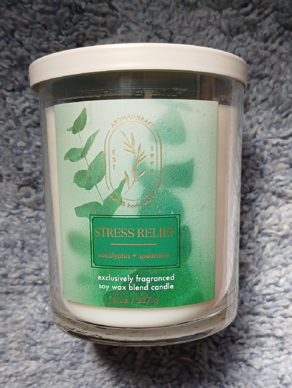 Bath & Body Works Stress Relief Eucalyptus & Spearmint Single Wick Candle 8 oz